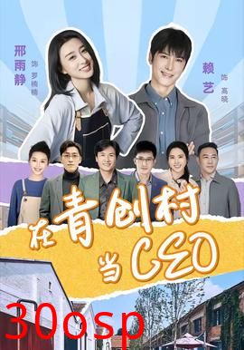 在青创村当CEO