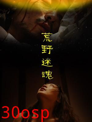 荒野迷魂