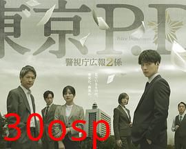 东京P.D. 警视厅公关二课 第二季