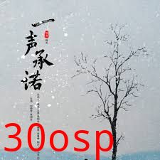 一声承诺