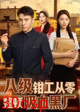 八级钳工从零整顿吸血黑厂