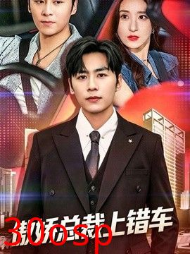 傲娇总裁上错车