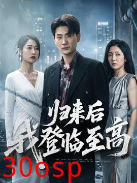 归来后我登临至高