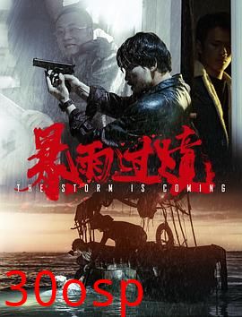 暴雨过境