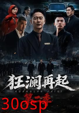 狂澜再起第二季