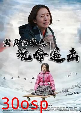 宝贝回家之玩命追击
