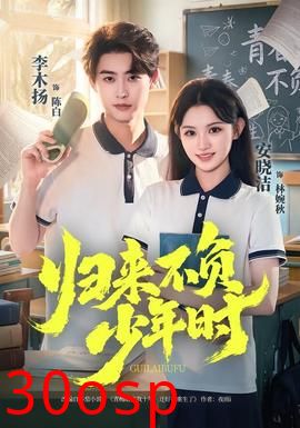 归来不负少年时