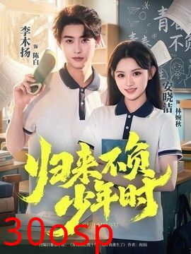 归来不负少年时