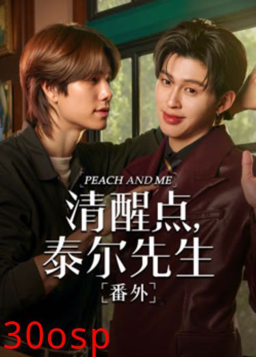 清醒点 泰尔先生番外篇