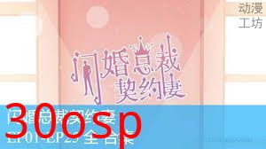 闪婚总裁契约妻