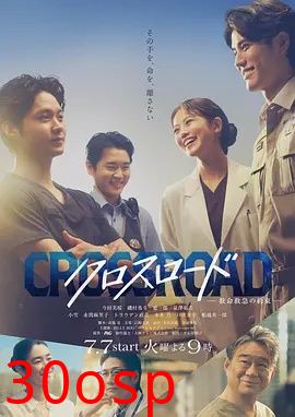 Crossroad～救命救急的约定～