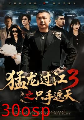 猛龙过江3之只手遮天