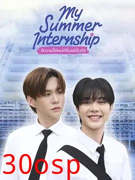我的夏日实习