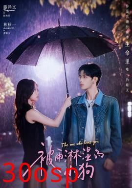 被雨淋湿的小狗