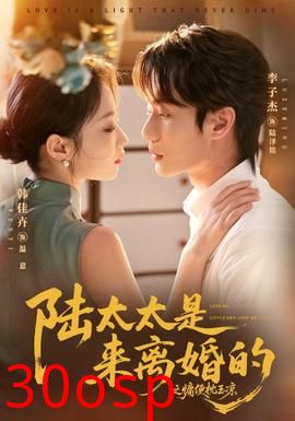 陆太太是来离婚的之慵便枕玉凉
