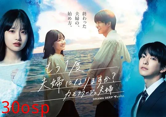 要再做一次夫妇吗？～伪装夫妇～