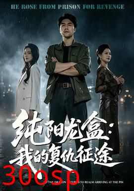 纯阳龙盒：我的复仇征途