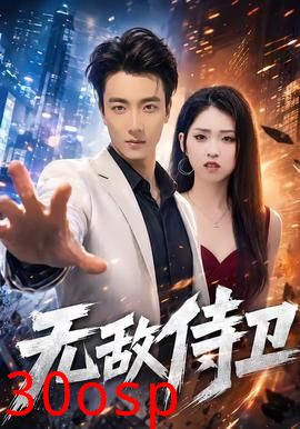无敌侍卫