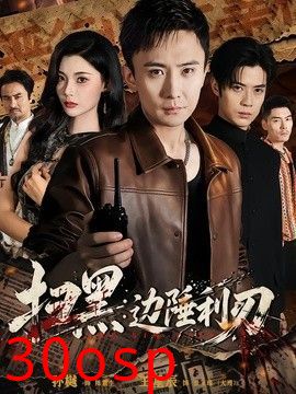 扫黑：边陲利刃