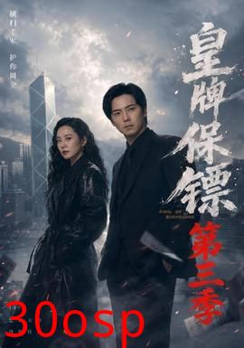 皇牌保镖第三季
