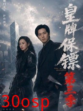 皇牌保镖第三季