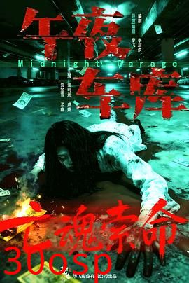 午夜车库