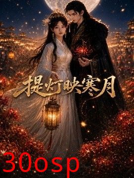 提灯映寒月