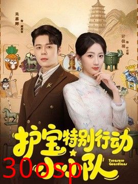 护宝特别行动小小队