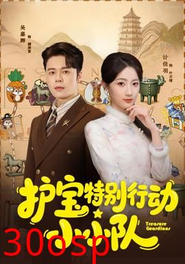 护宝特别行动小小队