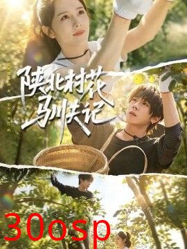 陕北村花驯夫记