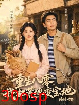 重生八零，我把荒地变宝地