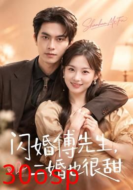 闪婚傅先生，二婚也很甜