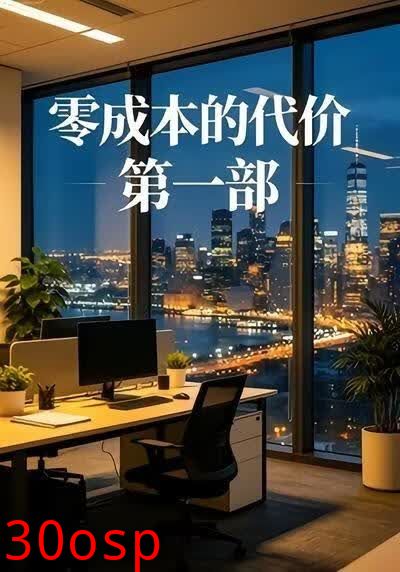 零成本的代价第一部