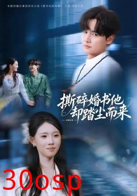撕碎婚书他却踏尘而来