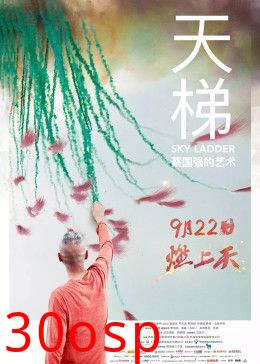 天梯：蔡国强的艺术