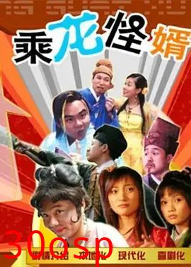 乘龙怪婿第一季