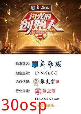 闪光的创始人第三季