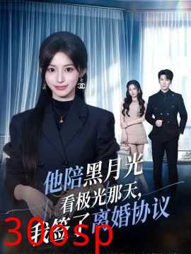 他陪黑月光看极光那天，我签了离婚协议