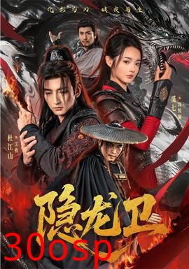 隐龙卫