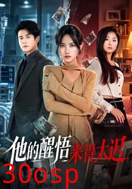 他的醒悟来得太迟
