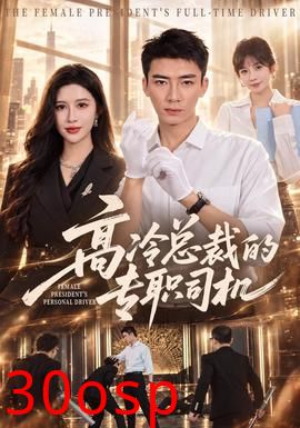 高冷总裁的专职司机