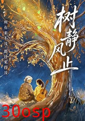 树静风止
