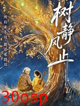树静风止